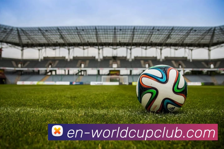 世界杯在线投注平台生态图